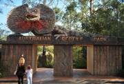 悉尼中央海岸爬行动物园 （可抱考拉、喂鹦鹉）Australian Reptile Park